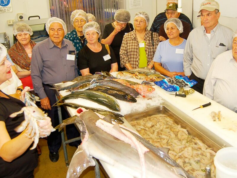 Tours Bus Group Sandy