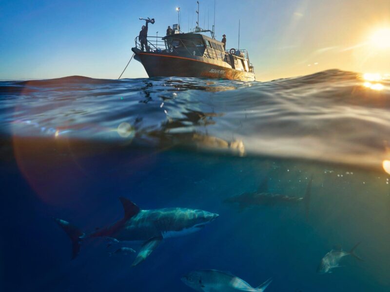 Adventure Bay Charters