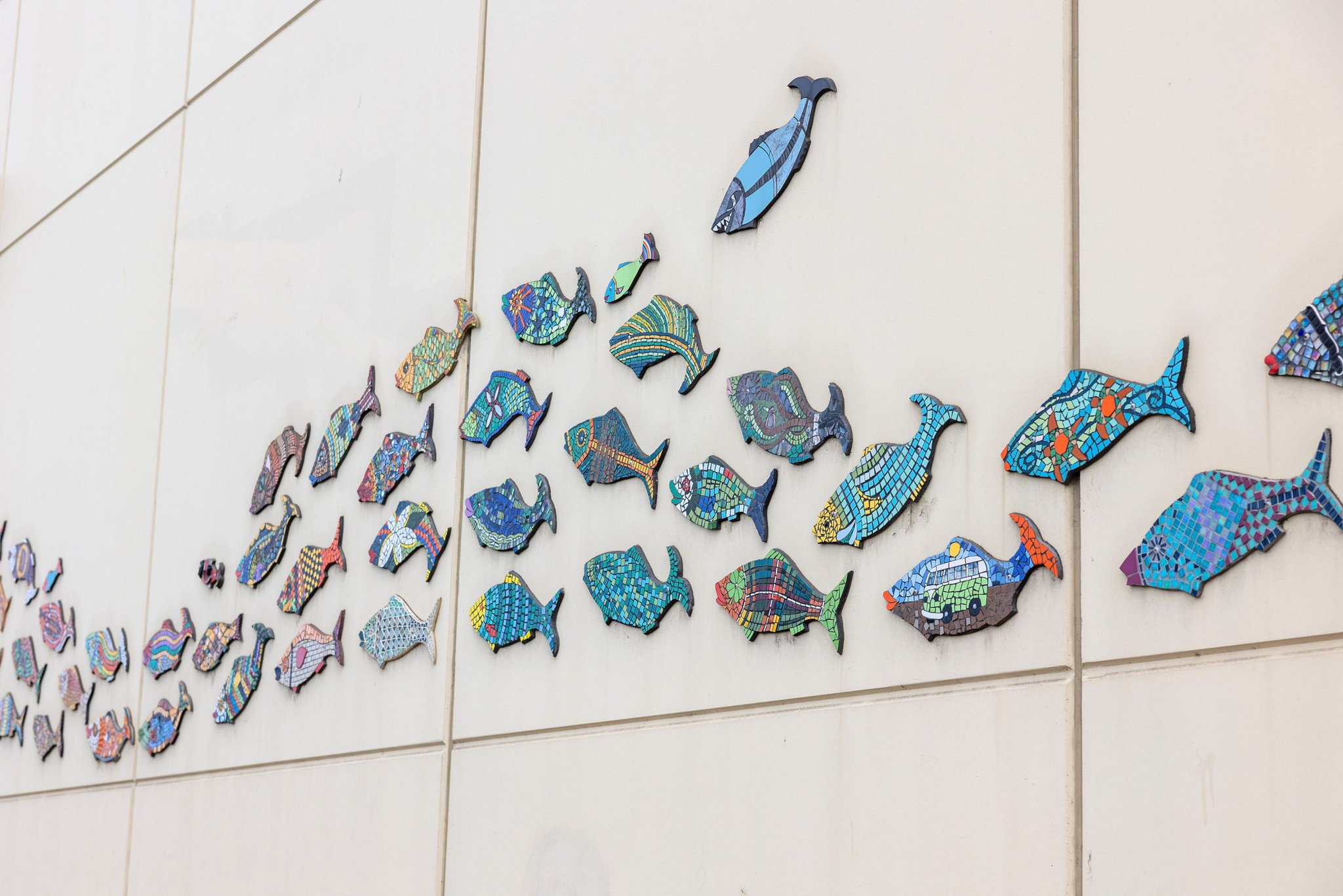 Council Mikaela Frick Photography 11 06 20231171