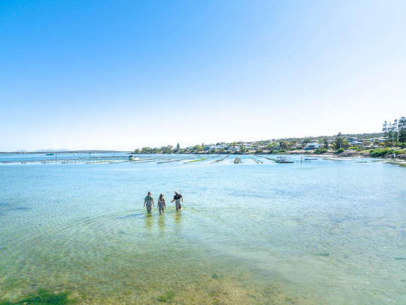 Aerial view of talent and Ben Catterall wading out to pontoon