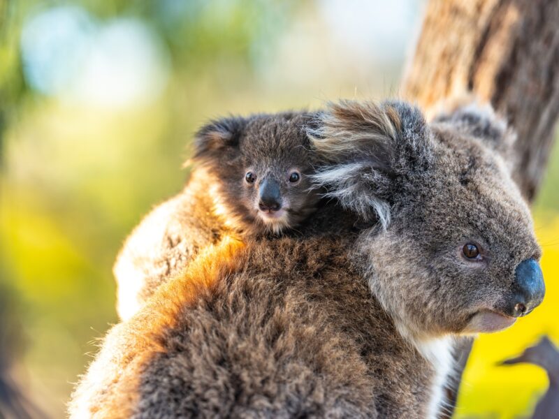 469893981 1119975196803406 8759893069710090014 N