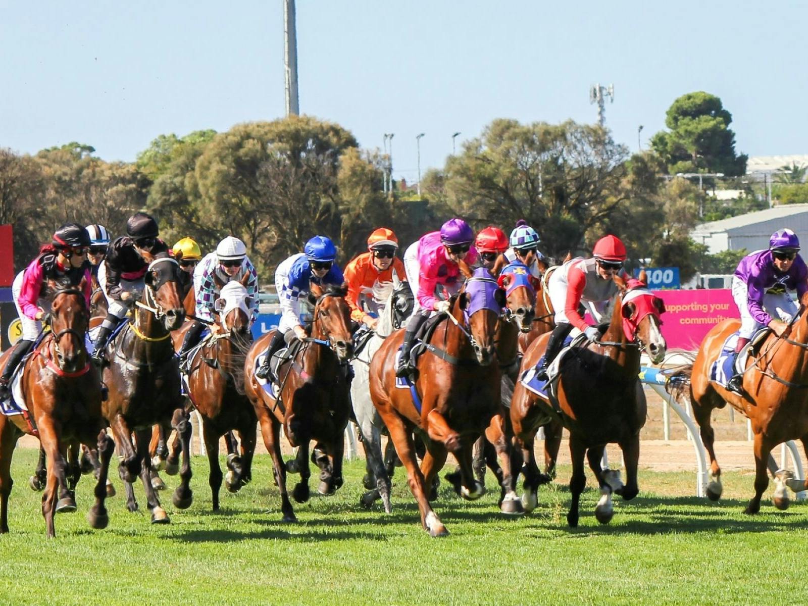 Winner of PL Cup Jockey: Rochelle Milnes - I Need A Drink - J.Dunn & K.Bishop