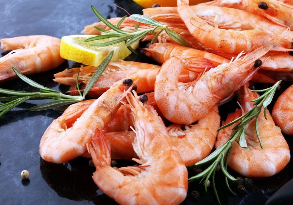 Raw fresh Prawns Langostino Austral. shrimp seafood with lemon and spices